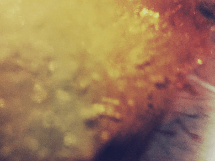 photo-16-11-2016-23-46-19