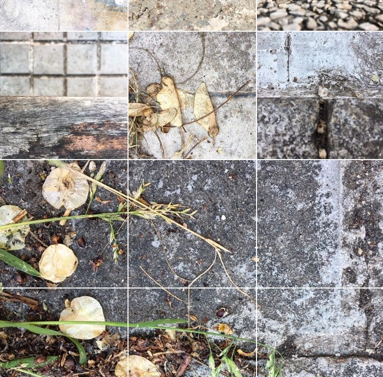 A Narrative of&nbsp;Edges