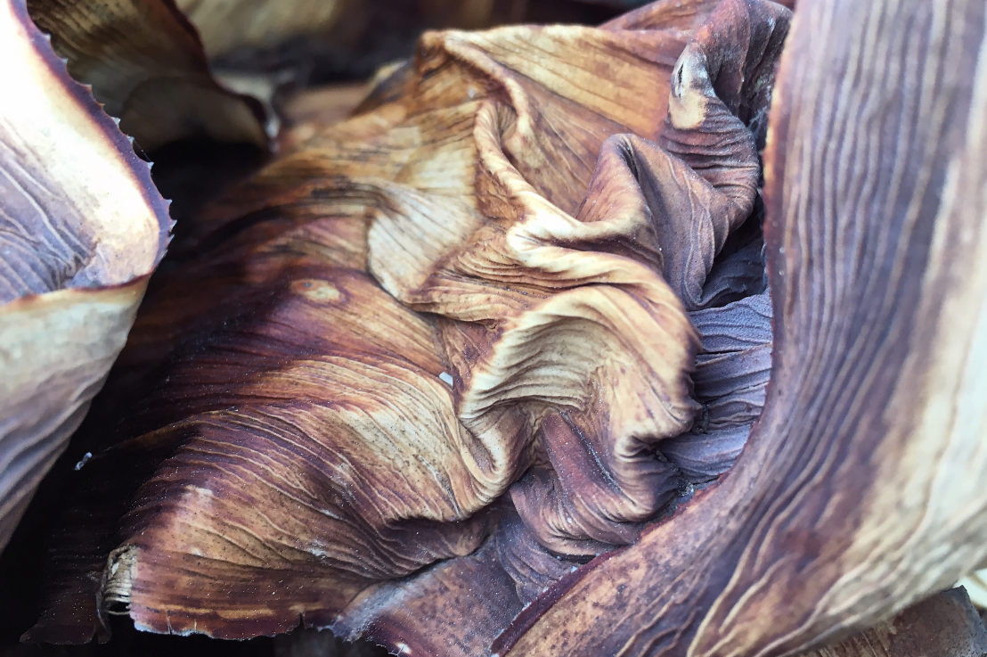 A Narrative of&nbsp;Edges