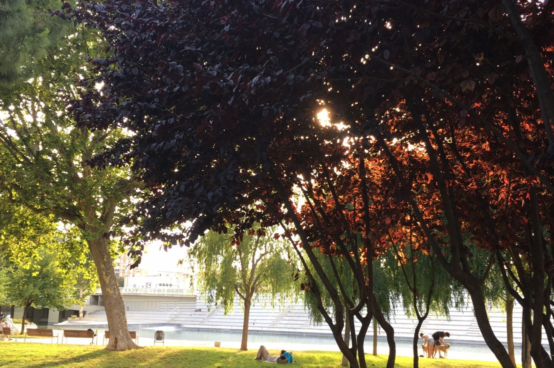 Artist Takeover in the&nbsp;Parc