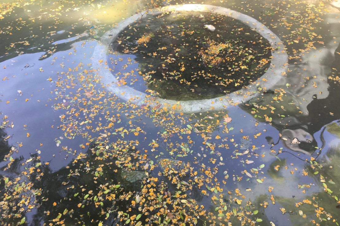 the beginning of Discourse [41.3777,&nbsp;2.1416]