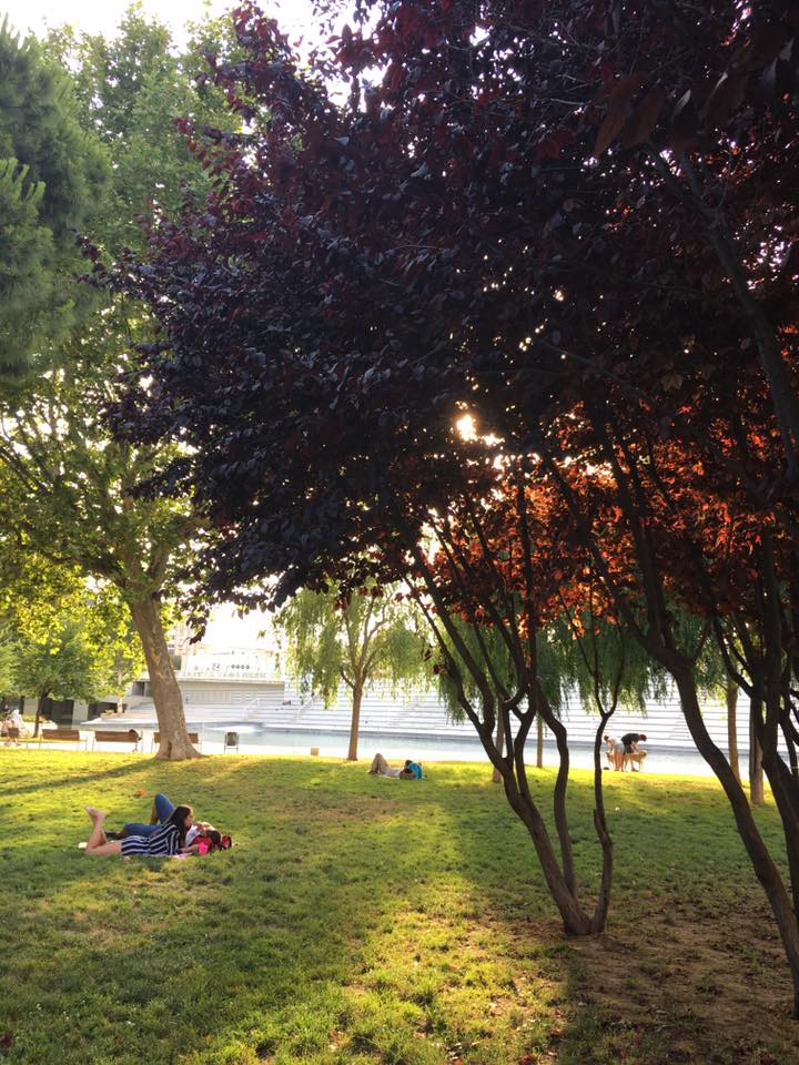 19894806_10155284739700259_3489136310943925107_n