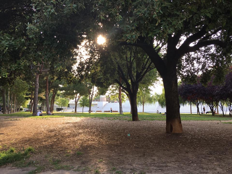 19756918_10155284739680259_3731035396181914182_n