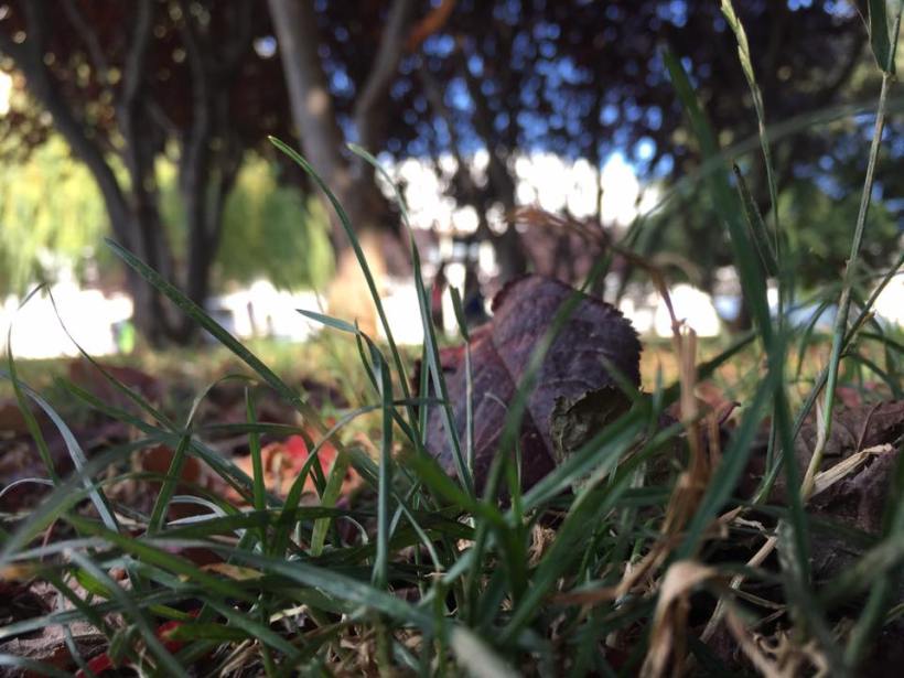 19883944_10155284739950259_7708416251431112642_n